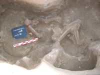 Cronica Cercetărilor Arheologice din România, Campania 2018. Raportul nr. 94.<br /> Sectorul Figuri-raport.
