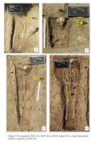Cronica Cercetărilor Arheologice din România, Campania 2018. Raportul nr. 105