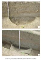 Cronica Cercetărilor Arheologice din România, Campania 2018. Raportul nr. 105