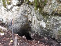 Cronica Cercetărilor Arheologice din România, Campania 2018. Raportul nr. 137