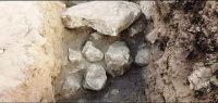 Cronica Cercetărilor Arheologice din România, Campania 2019. Raportul nr. 2