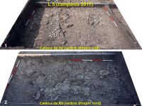 Cronica Cercetărilor Arheologice din România, Campania 2019. Raportul nr. 76