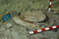 Cronica Cercetărilor Arheologice din România, Campania 2019. Raportul nr. 85