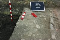 Cronica Cercetărilor Arheologice din România, Campania 2019. Raportul nr. 85