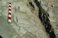 Cronica Cercetărilor Arheologice din România, Campania 2019. Raportul nr. 85