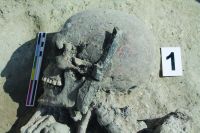 Cronica Cercetărilor Arheologice din România, Campania 2019. Raportul nr. 87