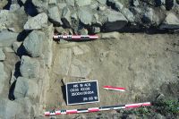Cronica Cercetărilor Arheologice din România, Campania 2019. Raportul nr. 125