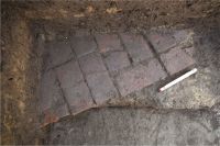 Cronica Cercetărilor Arheologice din România, Campania 2019. Raportul nr. 109