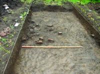 Cronica Cercetărilor Arheologice din România, Campania 2019. Raportul nr. 127