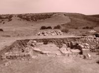 Cronica Cercetărilor Arheologice din România, Campania 2020. Raportul nr. 2