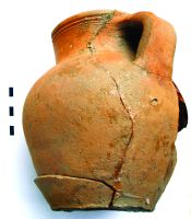 Cronica Cercetărilor Arheologice din România, Campania 2020. Raportul nr. 10