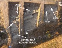 Cronica Cercetărilor Arheologice din România, Campania 2020. Raportul nr. 24