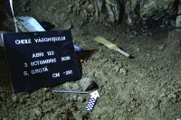 Cronica Cercetărilor Arheologice din România, Campania 2020. Raportul nr. 30