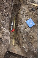 Cronica Cercetărilor Arheologice din România, Campania 2020. Raportul nr. 36
