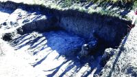 Cronica Cercetărilor Arheologice din România, Campania 2020. Raportul nr. 43.<br /> Sectorul pl-1.