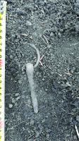 Cronica Cercetărilor Arheologice din România, Campania 2020. Raportul nr. 43.<br /> Sectorul pl-2.