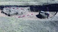 Cronica Cercetărilor Arheologice din România, Campania 2020. Raportul nr. 43.<br /> Sectorul pl-3.