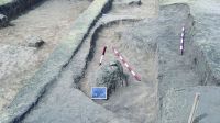 Cronica Cercetărilor Arheologice din România, Campania 2020. Raportul nr. 43.<br /> Sectorul pl-3.