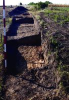 Cronica Cercetărilor Arheologice din România, Campania 2020. Raportul nr. 43.<br /> Sectorul pl-4.