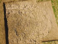 Cronica Cercetărilor Arheologice din România, Campania 2020. Raportul nr. 47.<br /> Sectorul 6596.