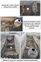 Cronica Cercetărilor Arheologice din România, Campania 2020. Raportul nr. 53