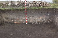 Cronica Cercetărilor Arheologice din România, Campania 2020. Raportul nr. 57