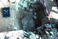 Cronica Cercetărilor Arheologice din România, Campania 2020. Raportul nr. 63