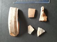 Cronica Cercetărilor Arheologice din România, Campania 2020. Raportul nr. 69