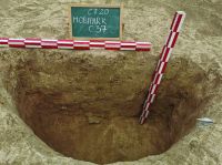 Cronica Cercetărilor Arheologice din România, Campania 2020. Raportul nr. 72