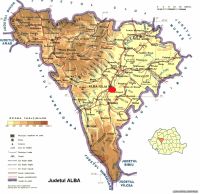 Cronica Cercetărilor Arheologice din România, Campania 2020. Raportul nr. 81