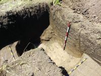 Cronica Cercetărilor Arheologice din România, Campania 2020. Raportul nr. 81