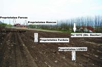 Cronica Cercetărilor Arheologice din România, Campania 2020. Raportul nr. 81