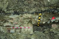 Cronica Cercetărilor Arheologice din România, Campania 2020. Raportul nr. 84