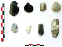 Cronica Cercetărilor Arheologice din România, Campania 2020. Raportul nr. 109
